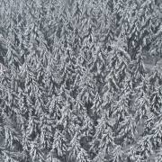 DJI_0709