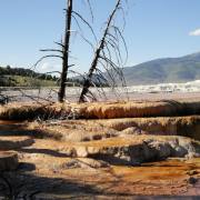 Yellow Stone NP, USA