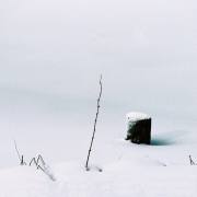Am-gefrorenen-See-03