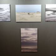 Naturfotografie 2