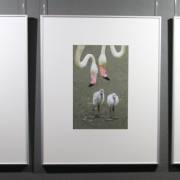 Naturfotografie 3