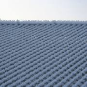 Eis & Schnee 04