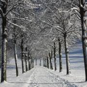 Eis & Schnee 06