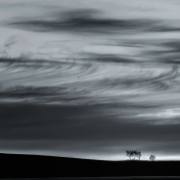 04-3-trees-and-one