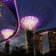 Singapur-Supertrees-im-Garden-by-the-Bay-