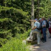 Martin