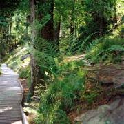 Federica: Am Mummelsee