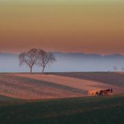 Kaiserstuhl_07