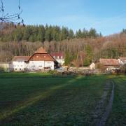 1.02-Burg-am-Wald4