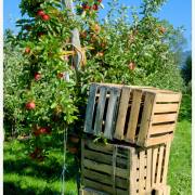 FCD-Homepage Kirchzarten