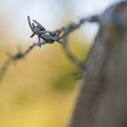 Anton Döbele: Zutritt verboten!