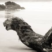 Peter Stäheli - Nessie an der Algarve gestrandet