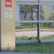 Manfred Schäfer, Gruenspecht im Spiegelgefecht 