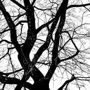 Armin Burger  Blick aus meinem Fenster