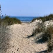 Monoka Schäfer: Rosalino de Mare