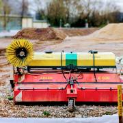 Petra Christ: Frühblüher