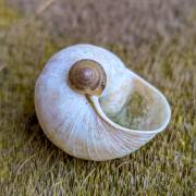 Petra Christ: Zweitwohnung in Reserve