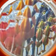 Petra Christ: Futterstation XXL