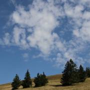 T. Muschalla: Feldberg