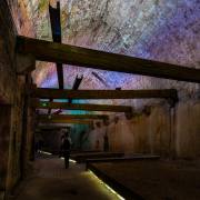 Petra Christ: bunte Unterwelt