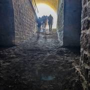 Petra Christ: ...