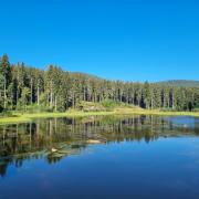 Ulrike-Brunnmueller_Heimatliebe_4