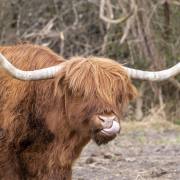 Christoph Klitsch-Ott: Nase putzen!