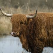 Christoph Klitsch-Ott: Nase putzen!