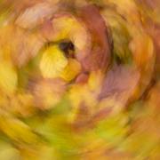 Anton Döbele: Farbenrausch