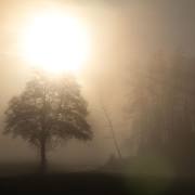 Thomas Muschalla: Dezembermorgen