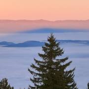 Manfred Schäfer: Kandelschatten auf Vogesen