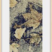 Ulla Kulcke:  Blätterchaos