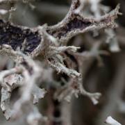 Petra Christ: geheimnisvoll