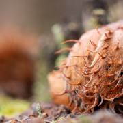 Petra Christ: ganz nah