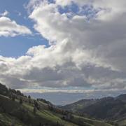 T. Muschalla: Schwarzwald-Winter-1-2025