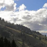 T. Muschalla: Schwarzwald-Winter-2-2025