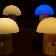 Christoph Klitsch-Ott: Beifang Fondation Beyeler 4