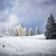 Helmut Körner -Tannen Feldberg-