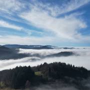 T-Muschalla-Geiersnest-1