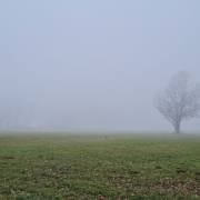 Ulrike-B_Nebelgrau-1