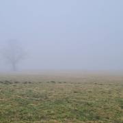 Ulrike-B_Nebelgrau-2