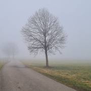 Ulrike-B_Nebelgrau-3