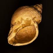 Christoph Klitsch-Ott: Mein neues Makro 4