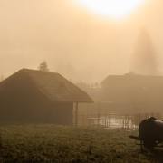 Felix-Petrenz: Nebel im Schlüchttal