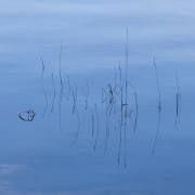 Felix-Petrenz: Minimalismus am Schluchsee