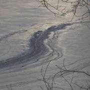 Felix-Petrenz: Eisspiegelung am Grüntensee