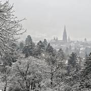 Helmut-Koerner-Blick-vom-Schlossberg-auf-Freiburg