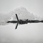 Helmut-Koerner-Stacheldraht