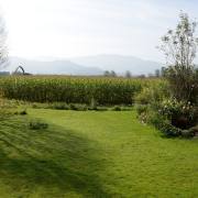 Hans-Werner Bormann: Maisernte in Stegen I