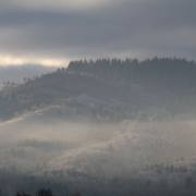 T. Muschalla: Wintermorgen-2